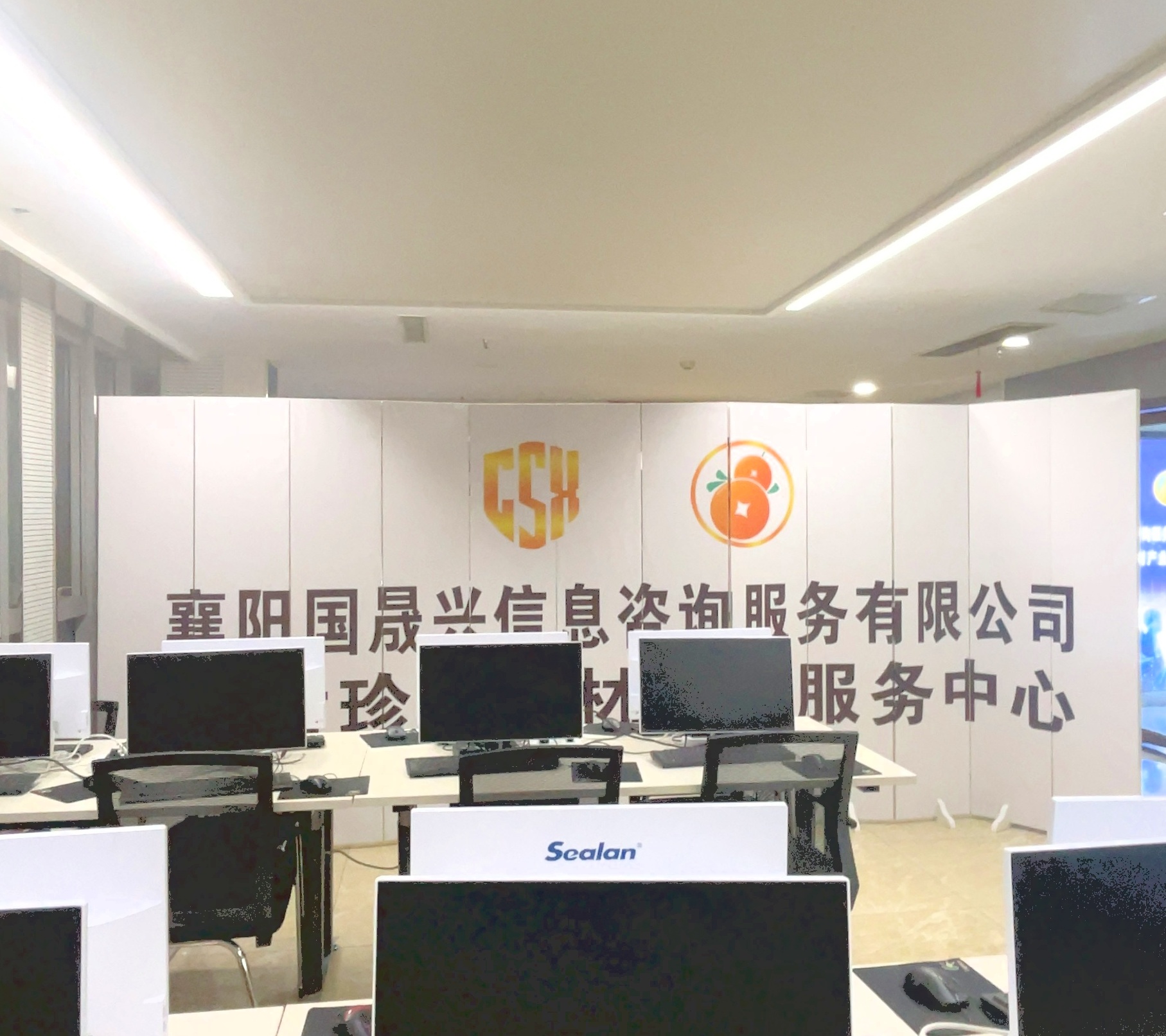 国晟兴信息咨询服务
