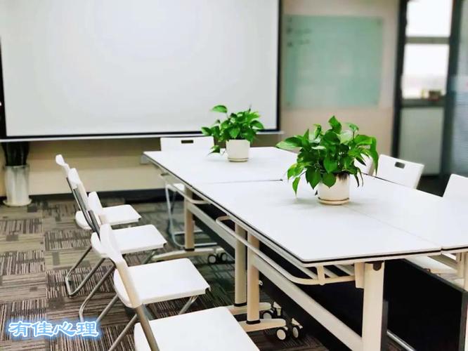 朱佩英,公司经营范围包括:心理咨询,教育信息咨询,企业管理